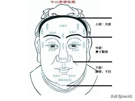 地閣潤意思|面相大全——下巴